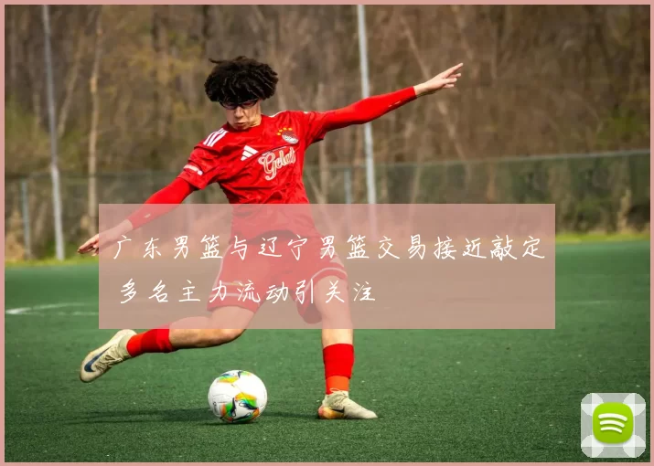 广东男篮与辽宁男篮交易接近敲定 多名主力流动引关注