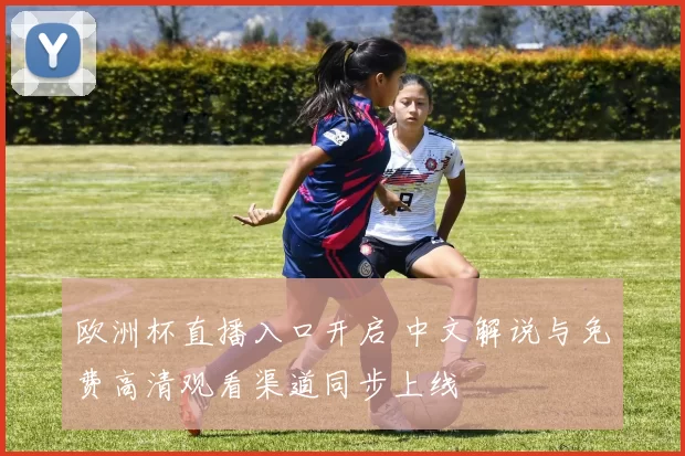 欧洲杯直播入口开启 中文解说与免费高清观看渠道同步上线