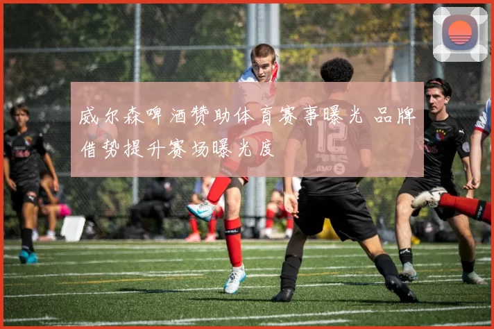 威尔森啤酒赞助体育赛事曝光 品牌借势提升赛场曝光度